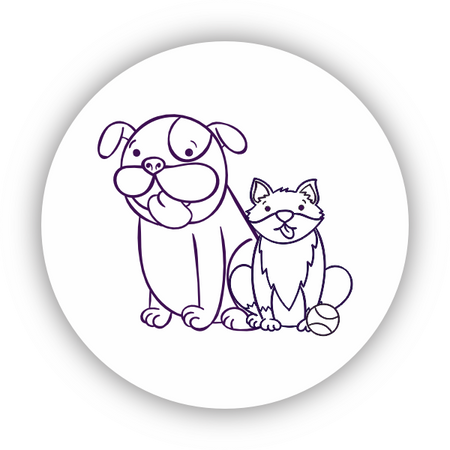 Coleção: Pets